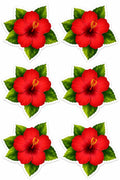 Set of six red hibiscus flowers with green leaves on a white background